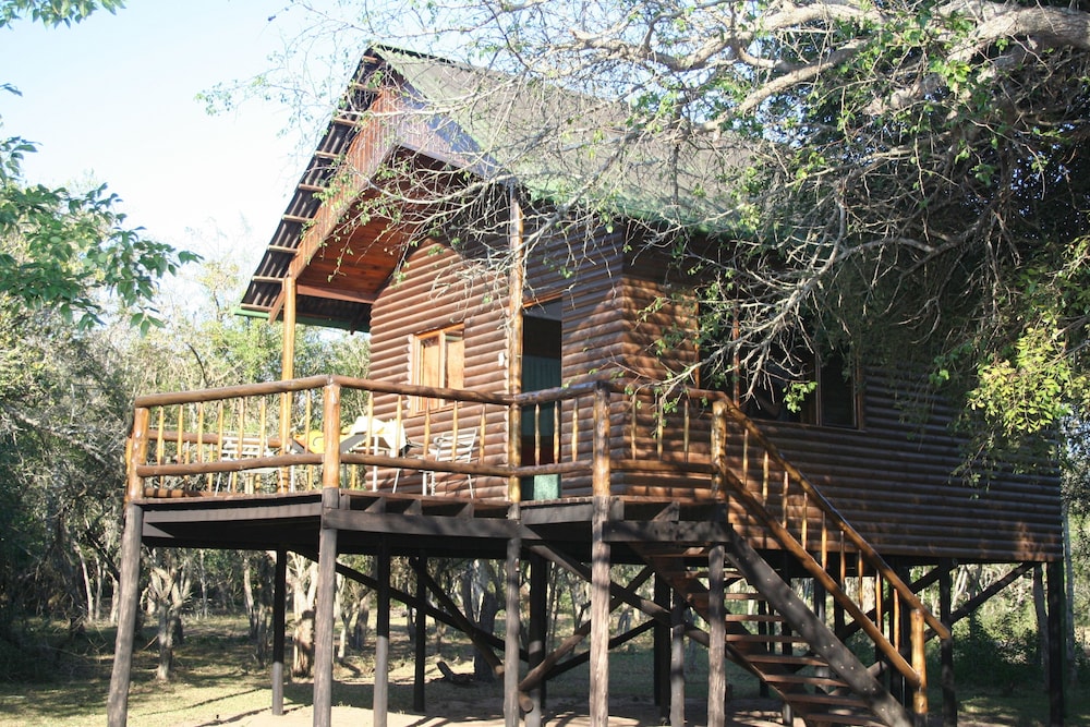 Panoramic Tree House, 1 Bedroom, Kitchenette, Park View photo 2