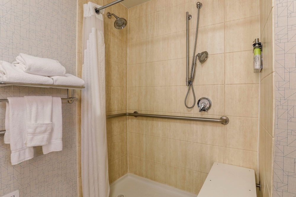 Standard Room, 1 King Bed, Accessible, Non Smoking (Communications, Roll-In Shower) - Photo 6