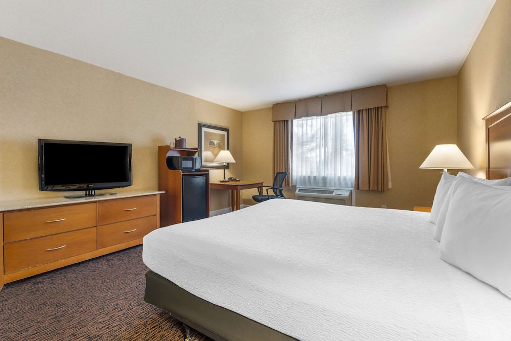 Standard Room, 1 King Bed, Non Smoking, Refrigerator & Microwave - Photo 3