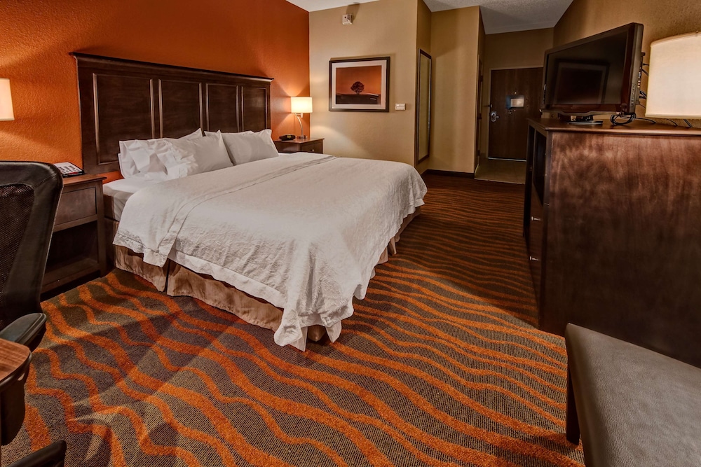 Room, 1 King Bed, Accessible - Photo 3