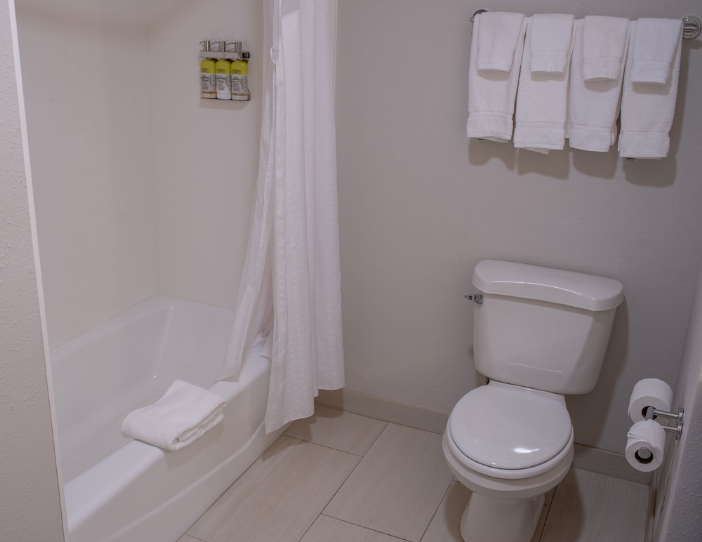 Suite, 1 Bedroom - Photo 10