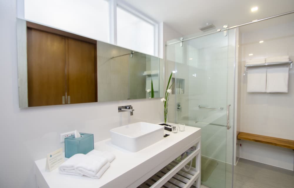 One Bedroom Suite photo 3