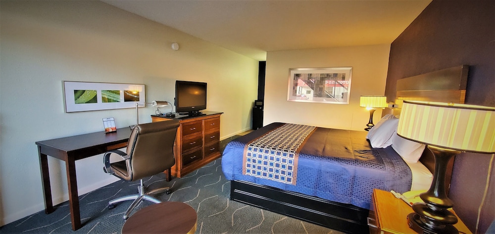 Room, 1 King Bed, Accessible photo 3