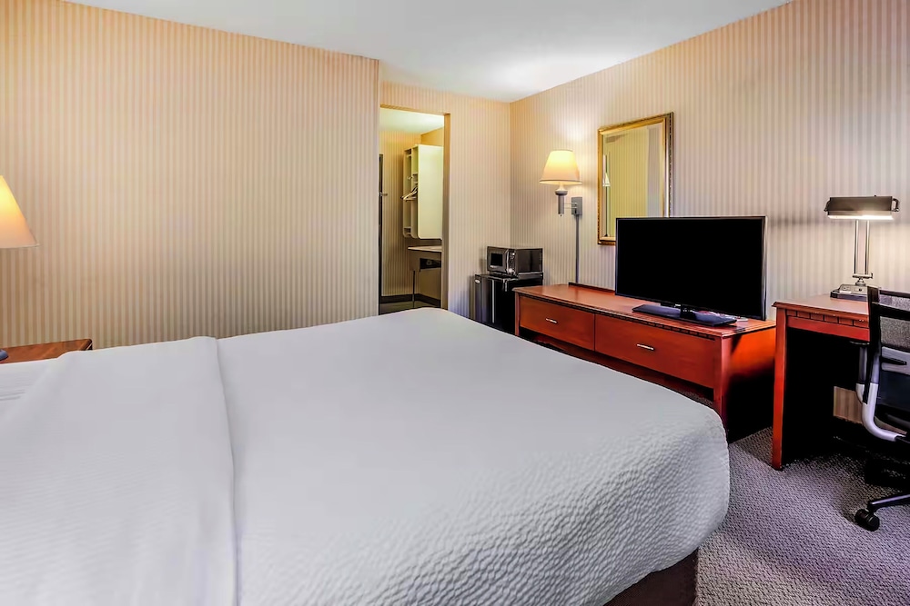 Superior Room, 1 King Bed, Non Smoking photo 3