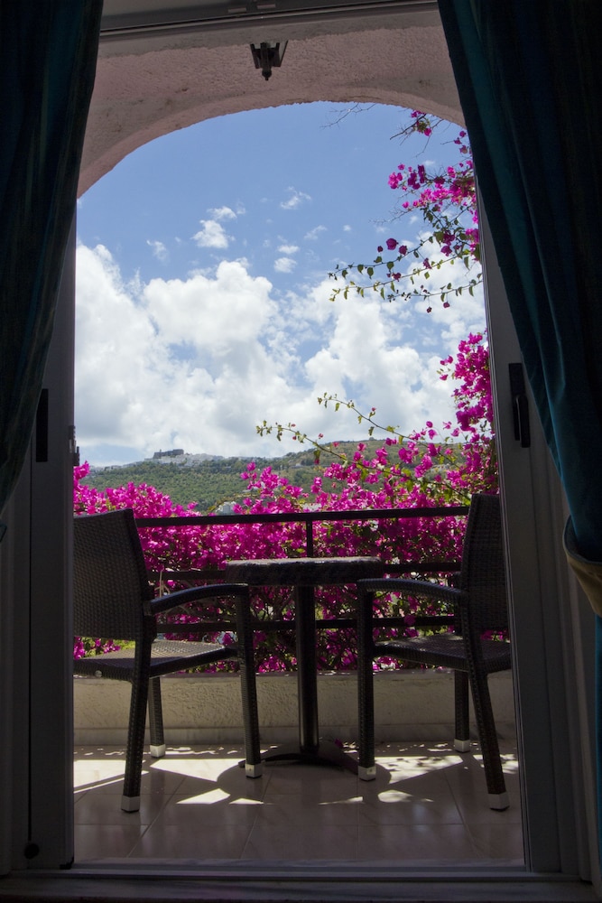 Standard Double Room (with Extra Bed) photo 3
