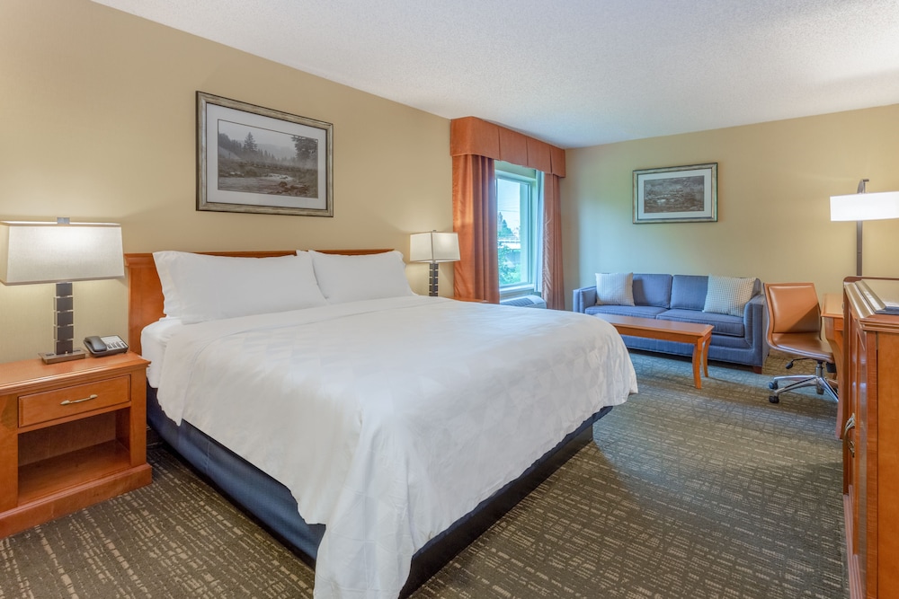 Premium Room, 1 King Bed, Accessible (Voco, Comms, Roll-In Shower) photo 2