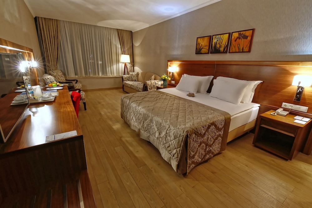 Standard Double or Twin Room photo 1