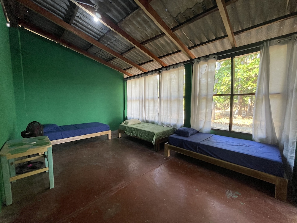 Classic Shared Dormitory photo 1