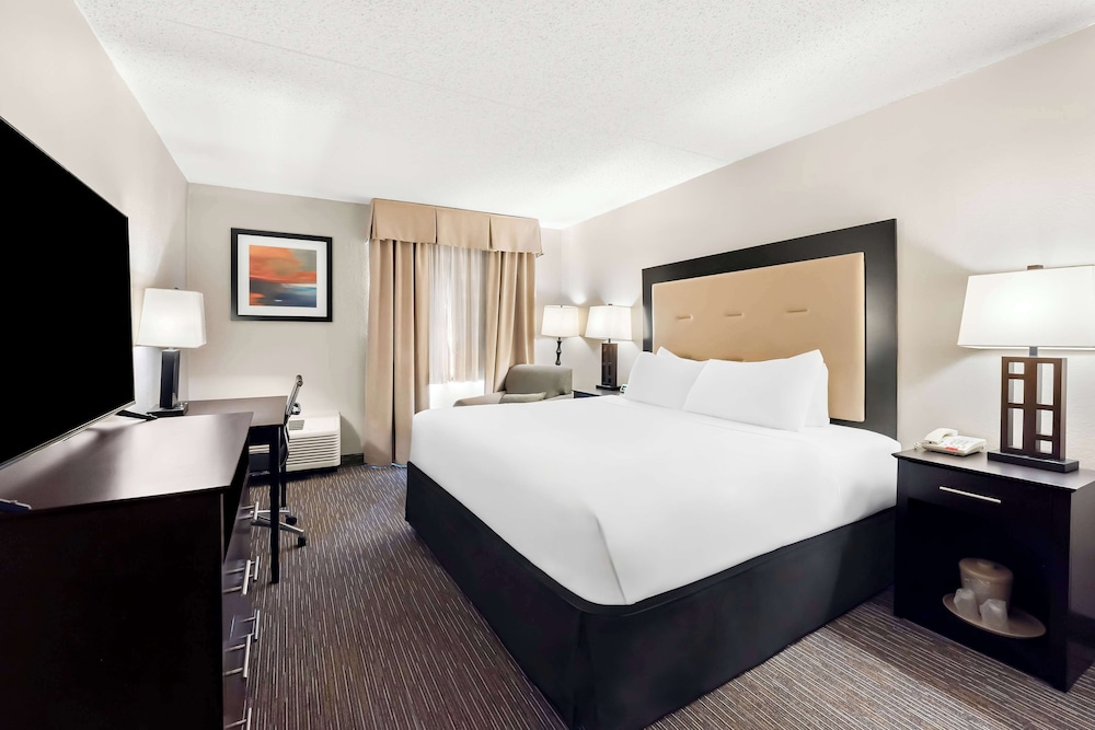 Room, 1 King Bed (Roll-in Shower)