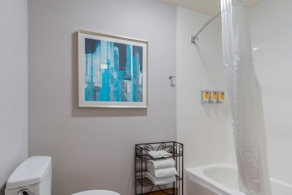 Best Western Plus Novato Oaks Inn, 사진 3