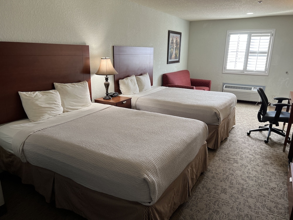 Deluxe Studio Suite photo 1