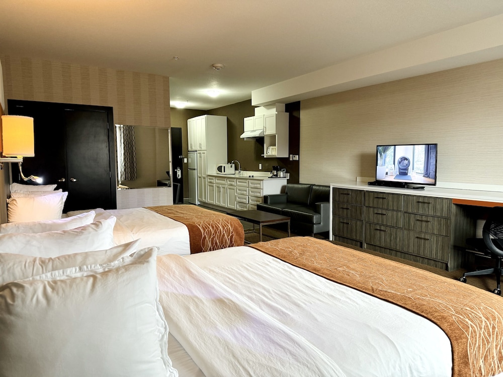 Kitchenette With Two Queen Beds photo 1
