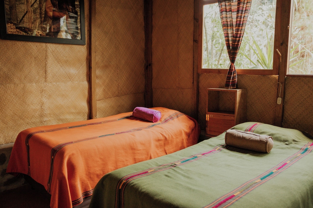 Classic Shared Dormitory photo 1