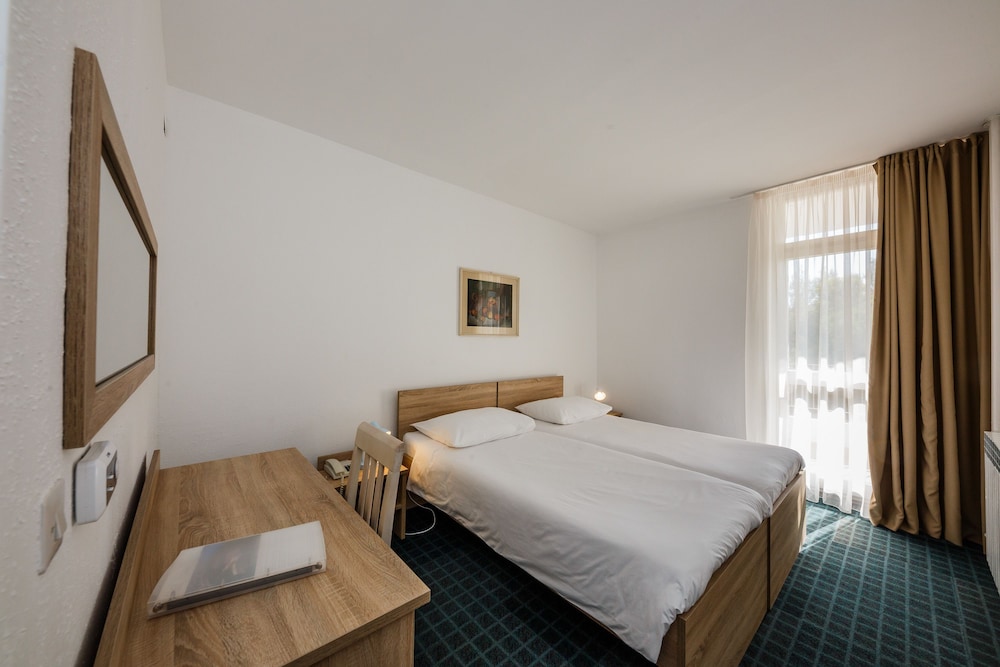 Standard Double or Twin Room, Balcony, Park View photo 1