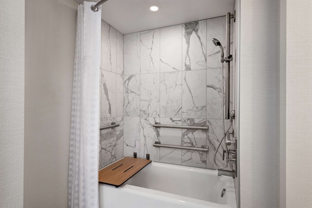 Premier Studio, 1 King Bed, Accessible (Roll-In Shower)