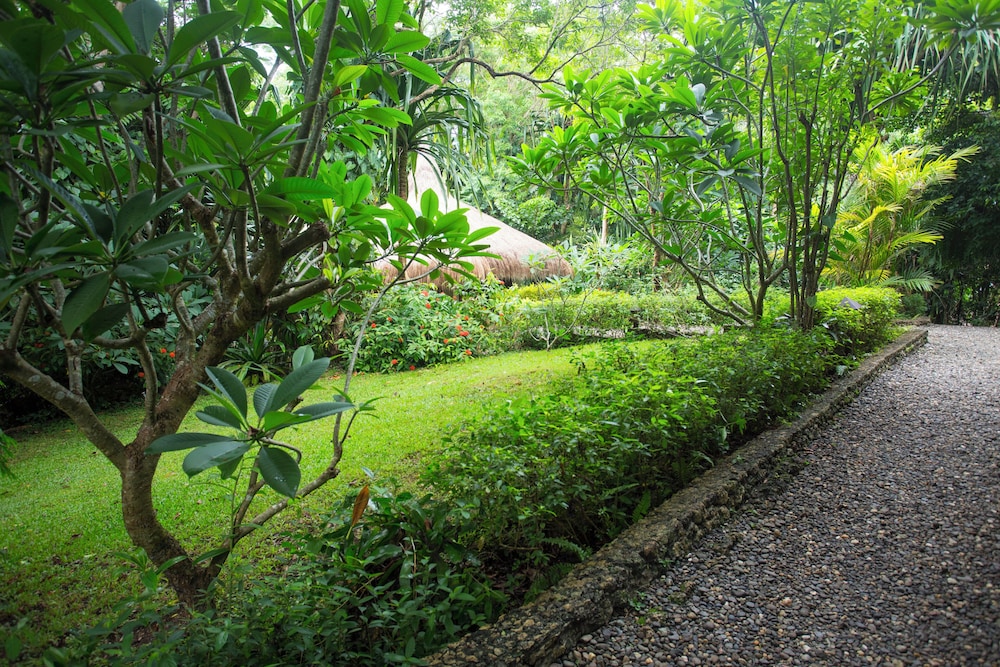 Digital Detox Villa - Photo 11