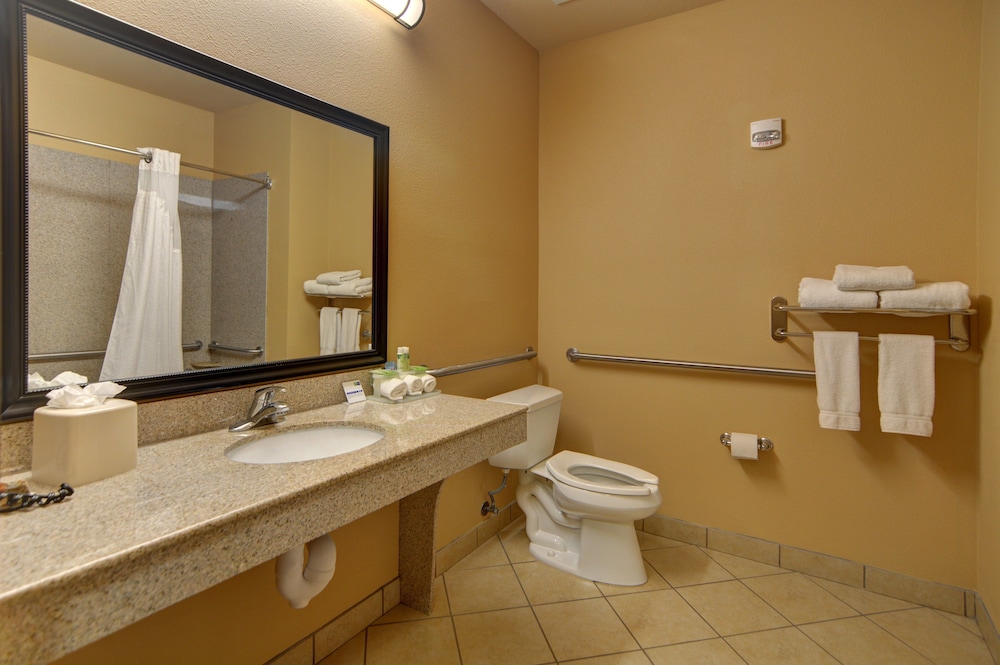 Standard Room, 1 King Bed, Accessible, Jetted Tub (Mobil) - Photo 3