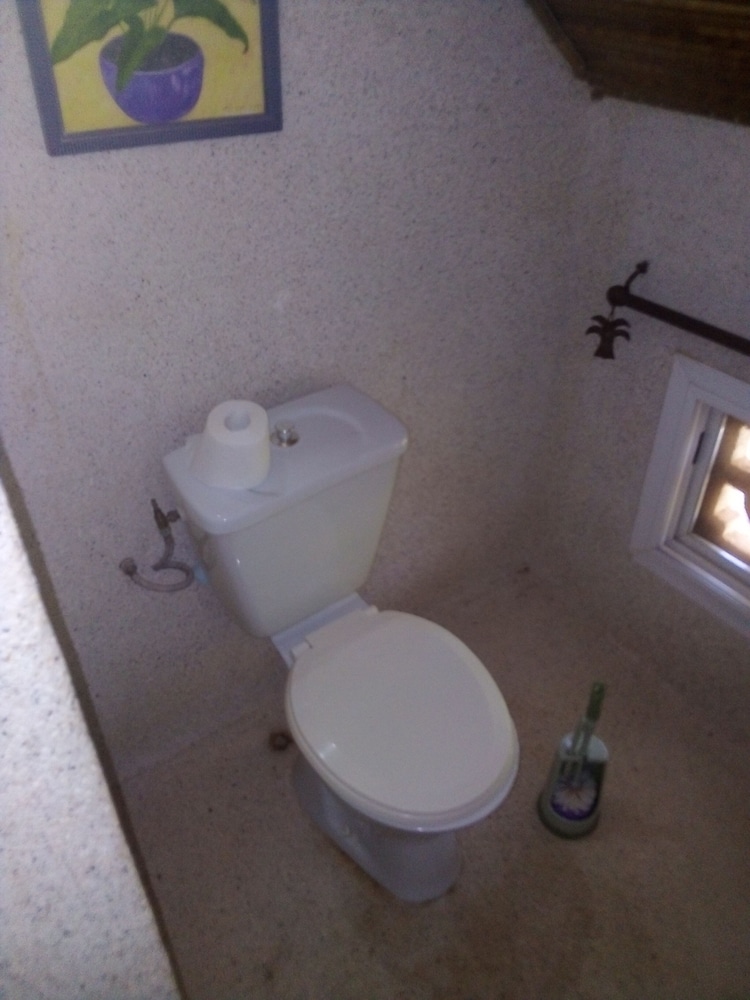 Luxury Villa photo 2