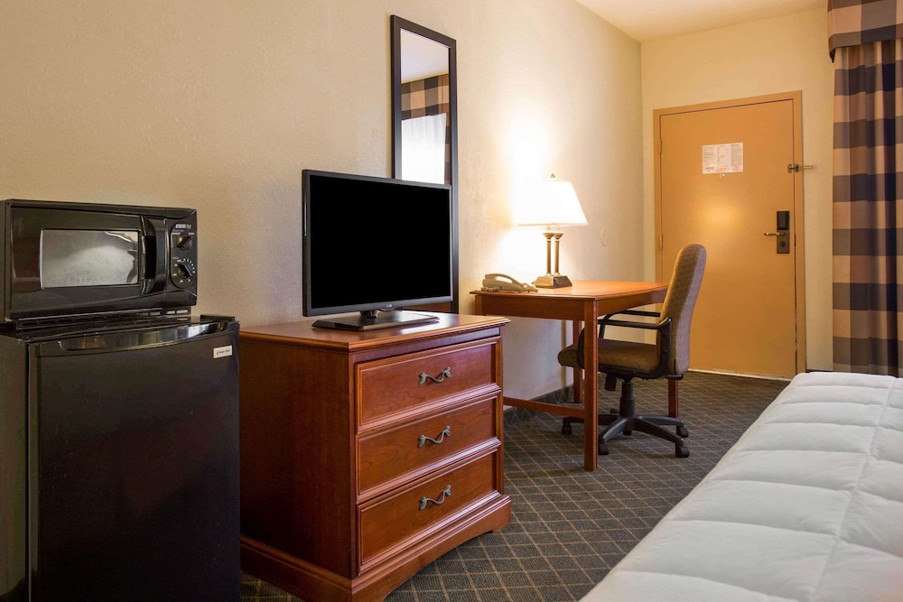 Suite, 1 King Bed, Smoking photo 3
