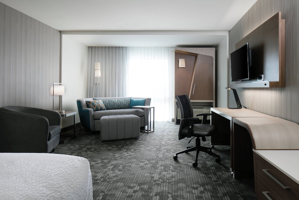 Room, 1 King Bed with Sofa bed (Mobility/Hearing Access, Roll-in Shwr)