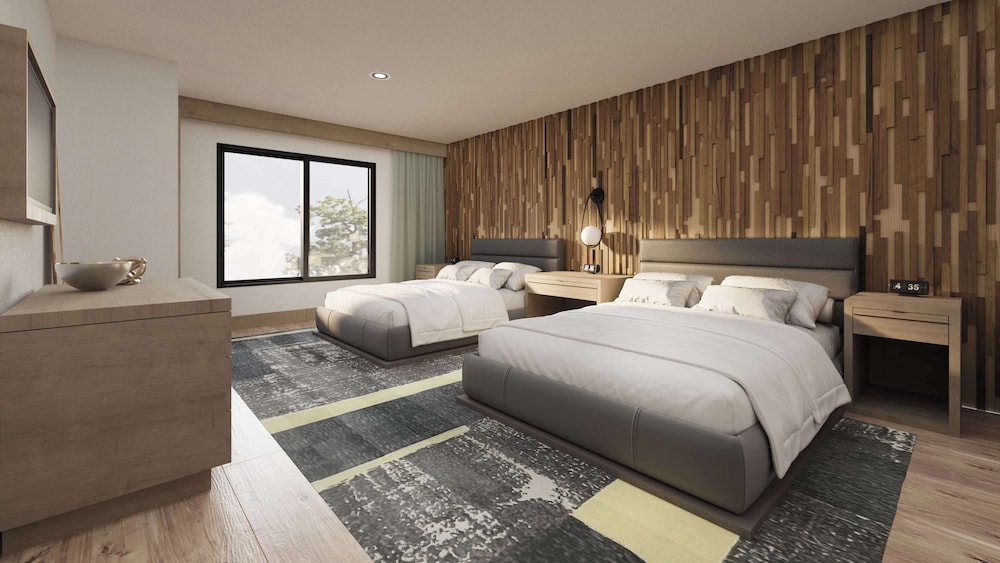 Studio, 1 King Bed, Accessible (Hearing) - Photo 7
