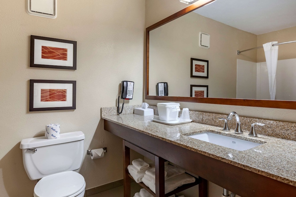 Suite, 1 King Bed with Sofa bed, Non Smoking