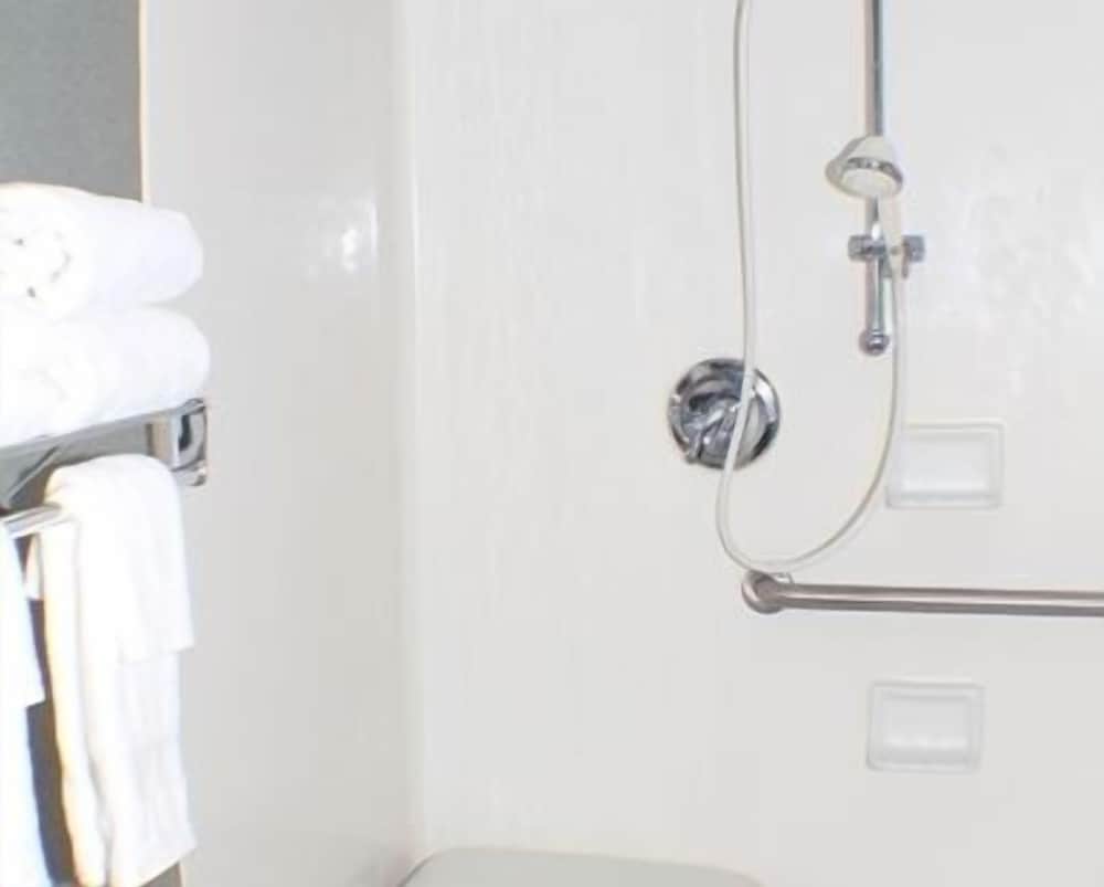 Room, 1 King Bed, Accessible, Non Smoking (Roll-in Shower) - Photo 4