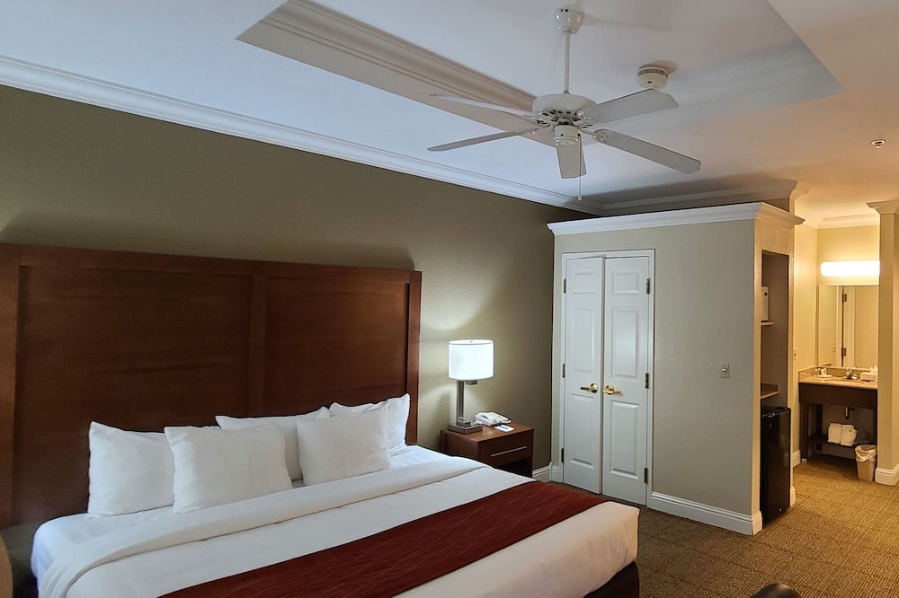 Basic Room, 1 Queen Bed - Photo 3
