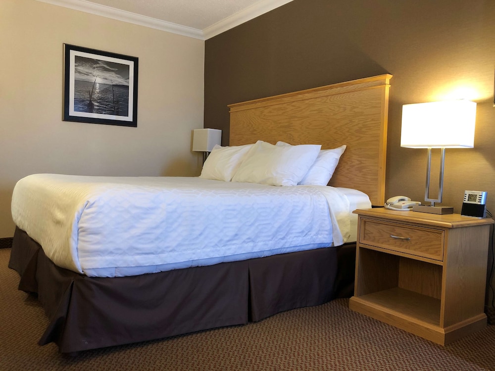 Standard Room, 1 King Bed, Non Smoking photo 2