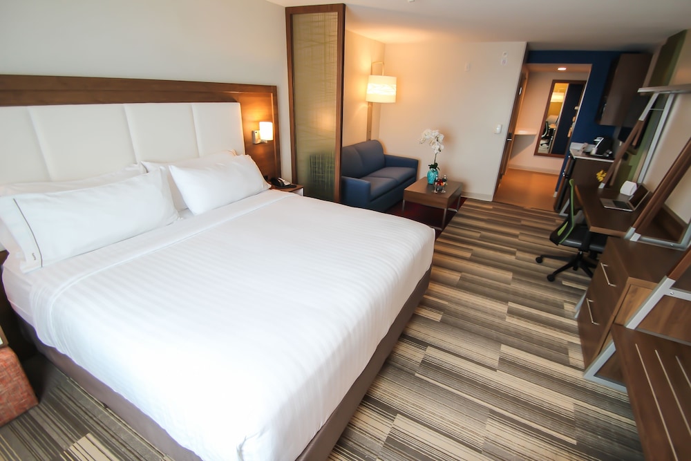 Suite, 1 King Bed with Sofa bed (Additional Living)