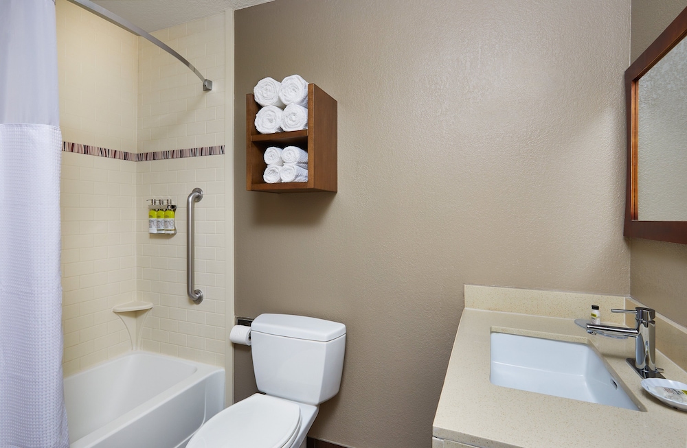 Suite, 1 Bedroom, Accessible (1 King, Mobil Tub)