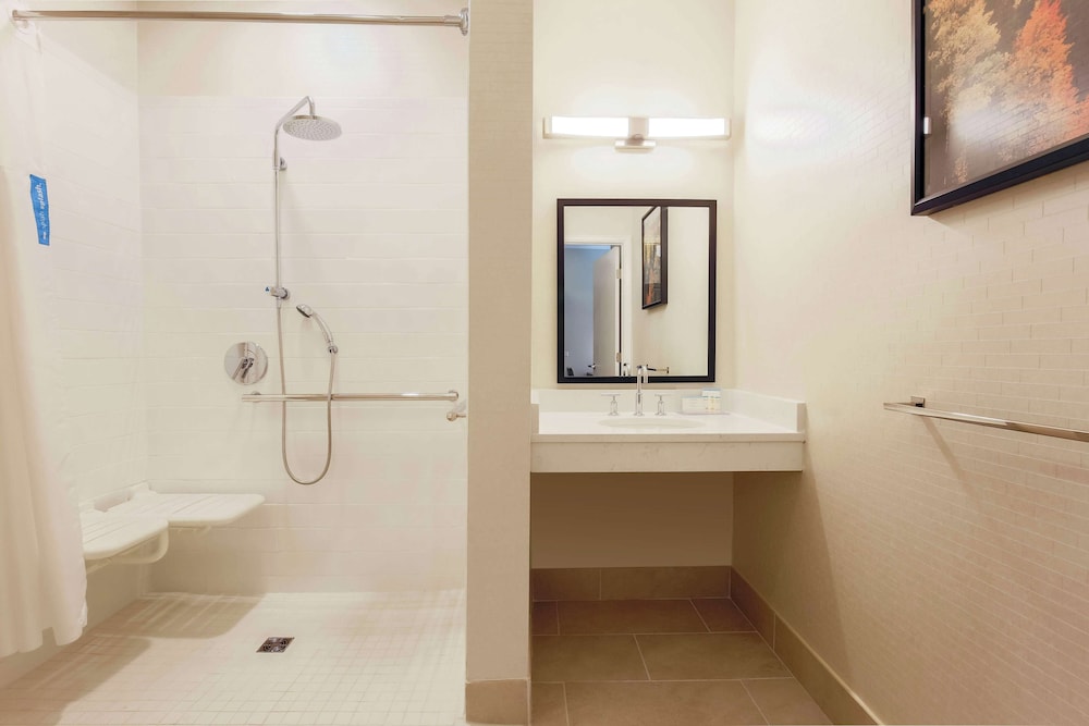 Studio, 1 King Bed, Accessible (Roll-In Shower) - Photo 5