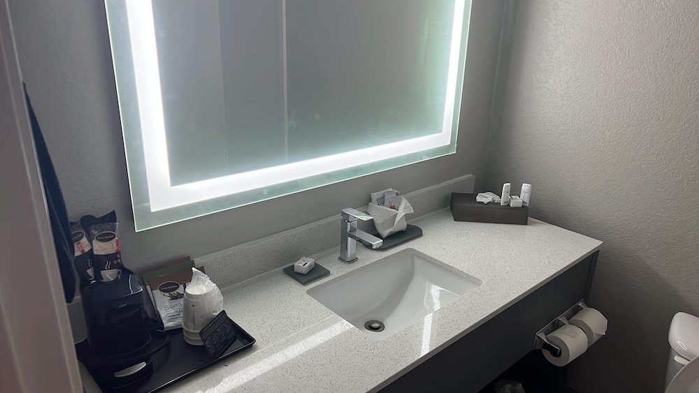 Deluxe Suite, 1 King Bed, Non Smoking (Deluxe Executive Suite) - Photo 3