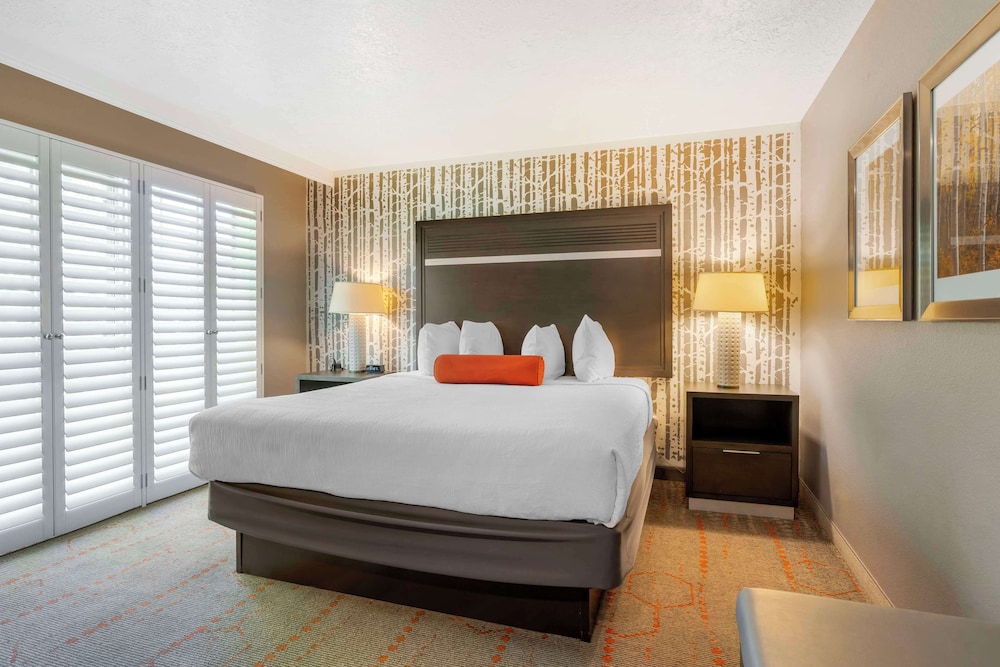 Suite, 1 King Bed, Non Smoking, Refrigerator & Microwave (Pet Friendly;with Sofabed) - Photo 1