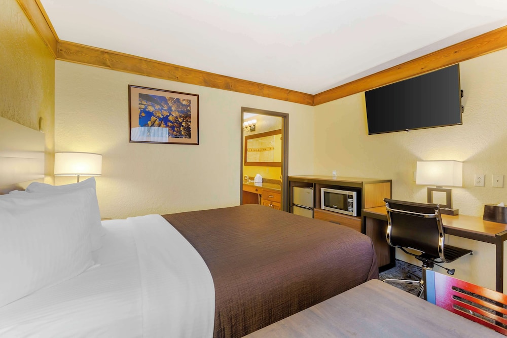 Standard Room, 1 King Bed, Accessible, Bathtub photo 3