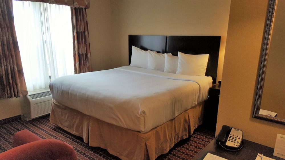 Basic Room, 1 Queen Bed with Sofa bed