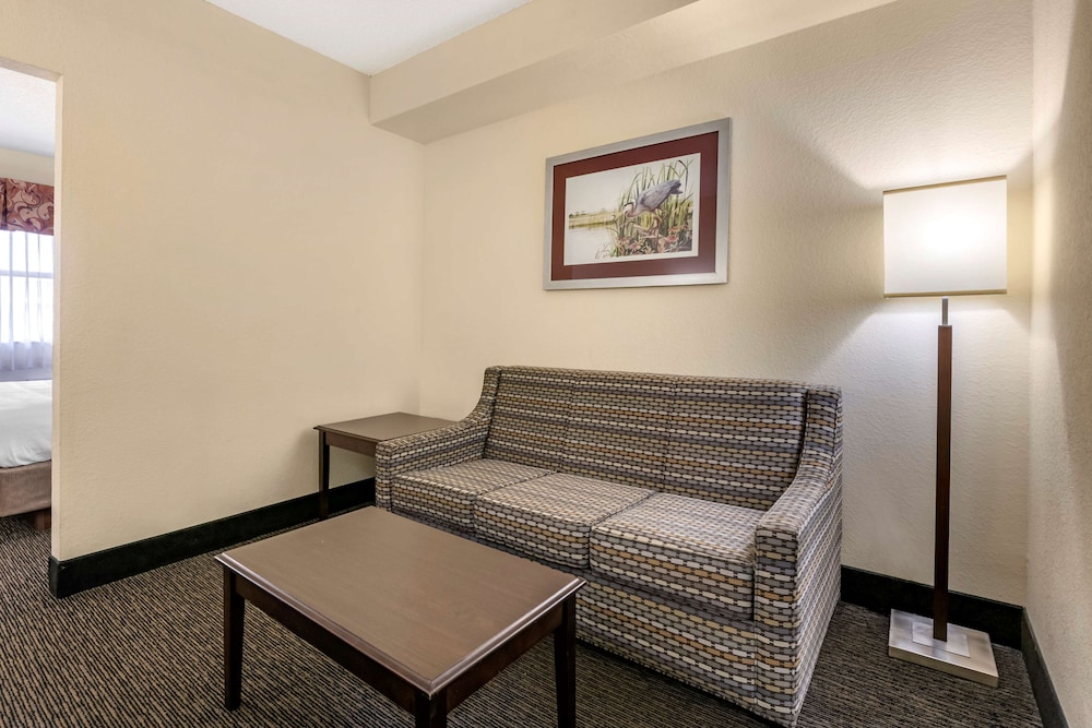 Suite, 1 King Bed With Sofa Bed, Non Smoking, Refrigerator & Microwave (With Sofabed) - Photo 3