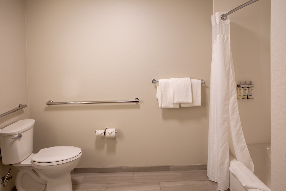 Suite, 1 King Bed, Accessible Bathtub (Mobility, Accessible Tub) photo 3