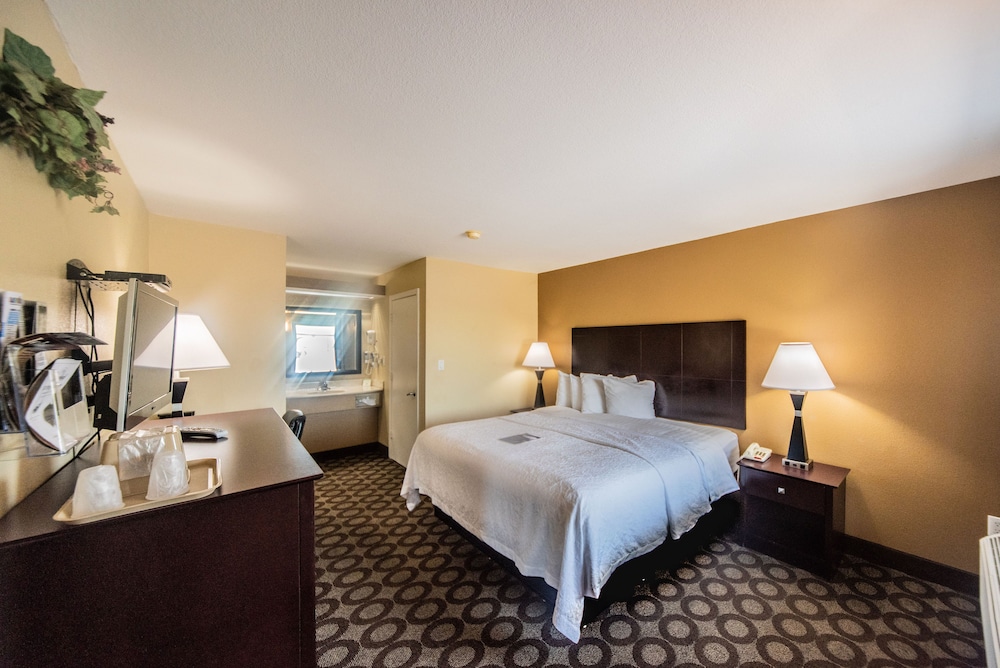 Standard Room, 1 King Bed, Non Smoking (No Pets)