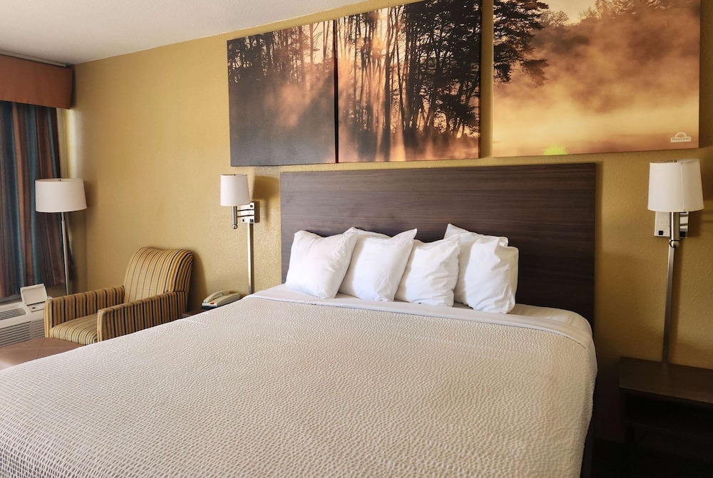 Standard Room, 1 King Bed, Non Smoking - Photo 5