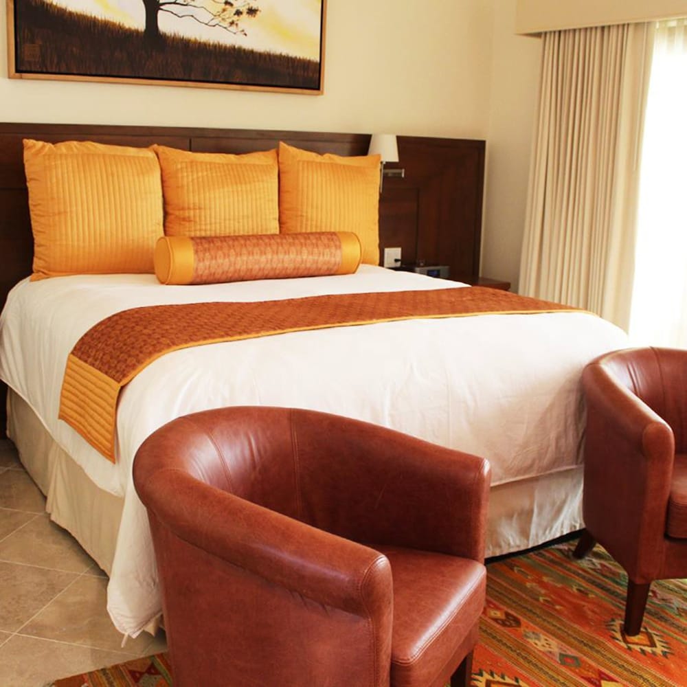 Basic Single Room, 1 King Bed