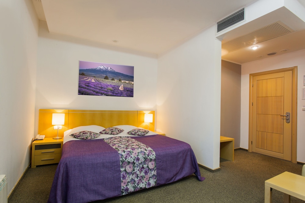 Premium Double Room photo 1