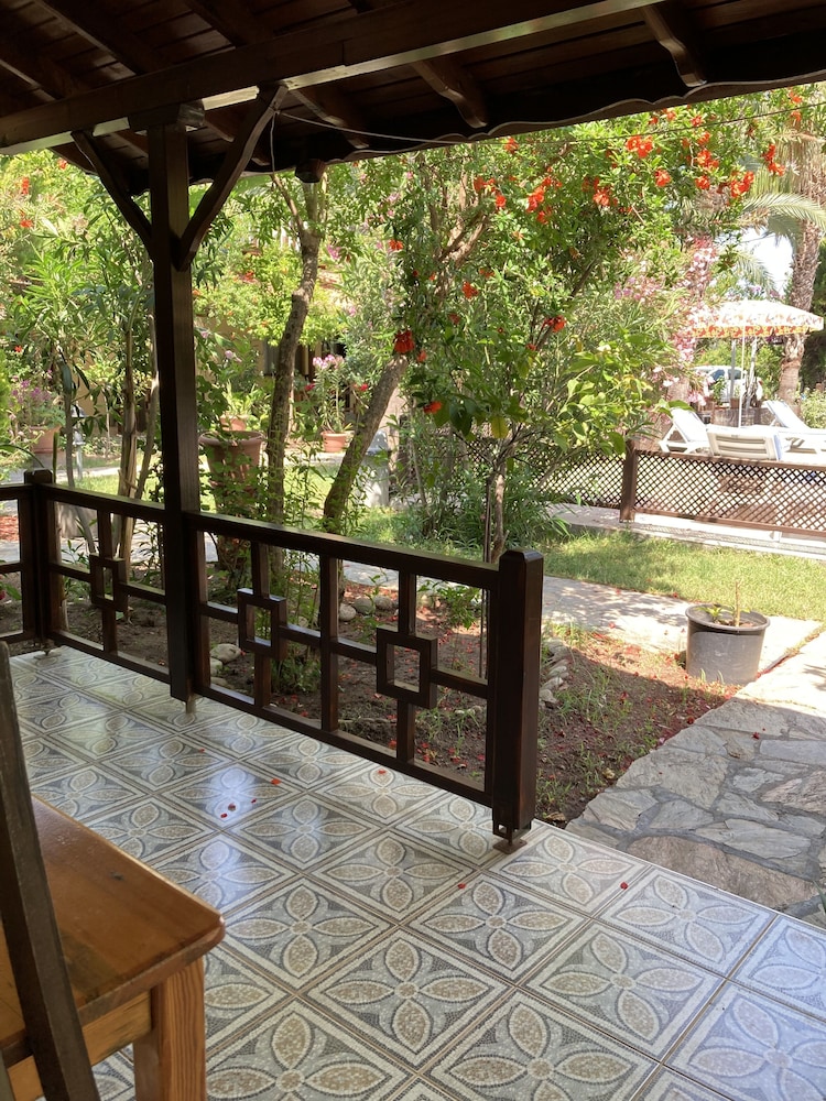 Comfort Single Room, Poolside photo 3