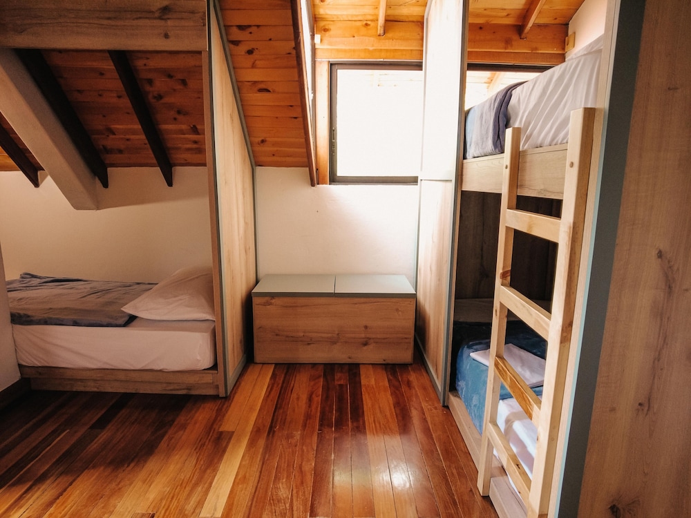 Comfort Shared Dormitory photo 1