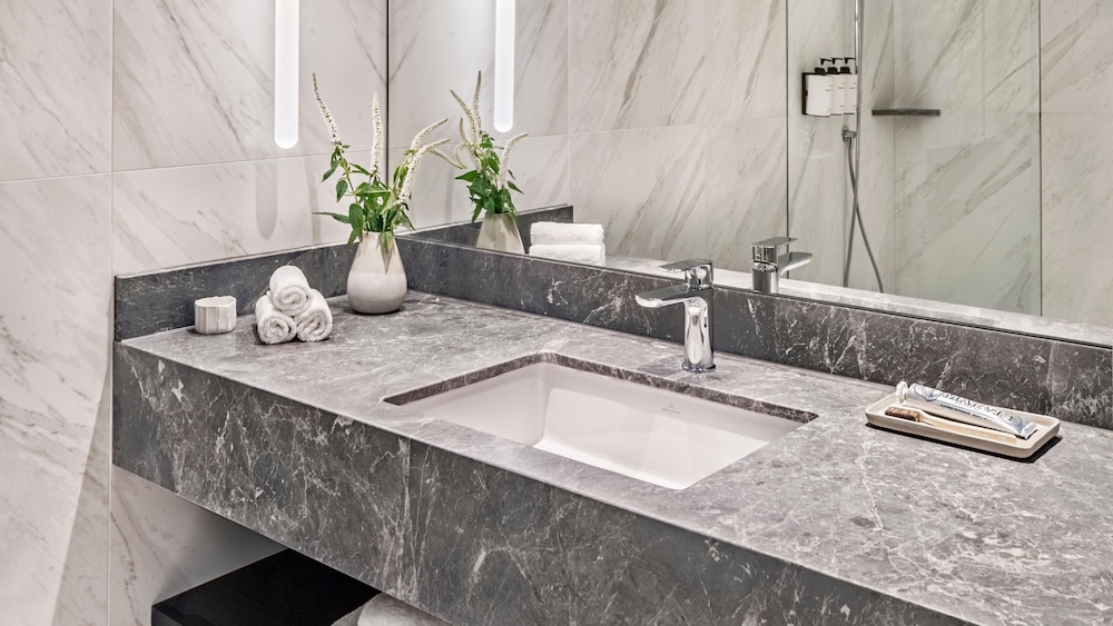 1 King Classic Opera House View