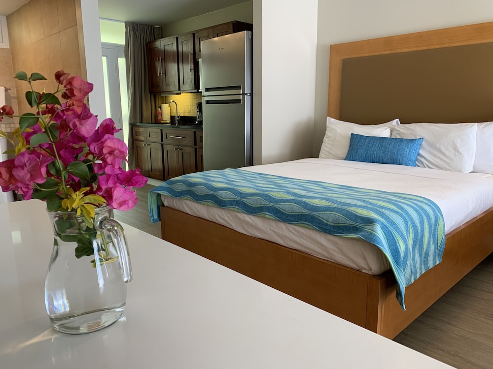 Studio Suite - Photo 4