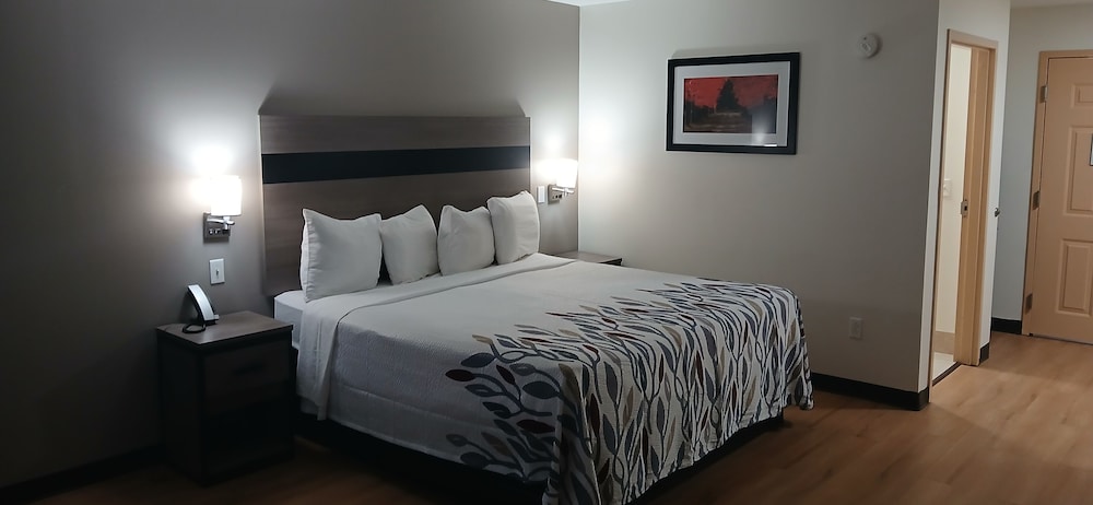 Suite, 1 King Bed, Non Smoking photo 1