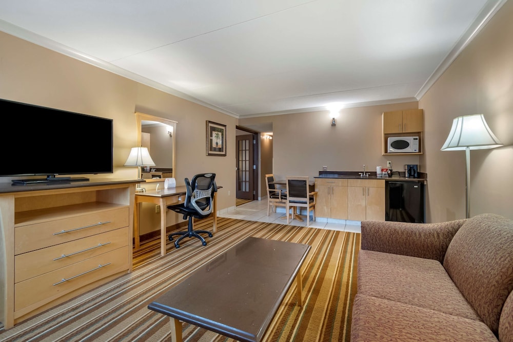 Suite, 1 King Bed, Non Smoking, Refrigerator & Microwave (with Sofabed) photo 3