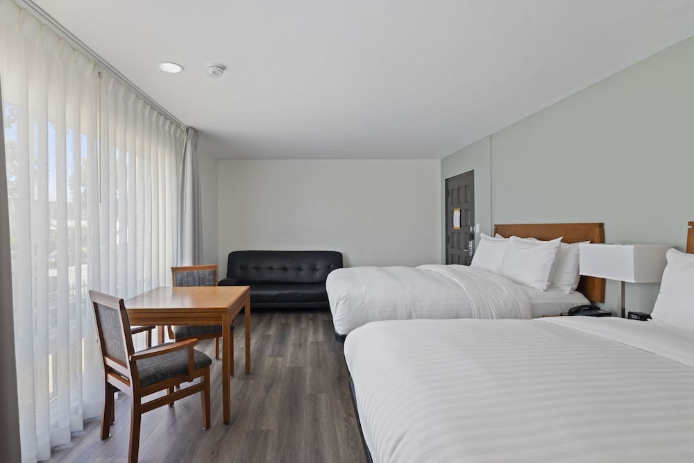 Studio Suite, 2 Queen Beds