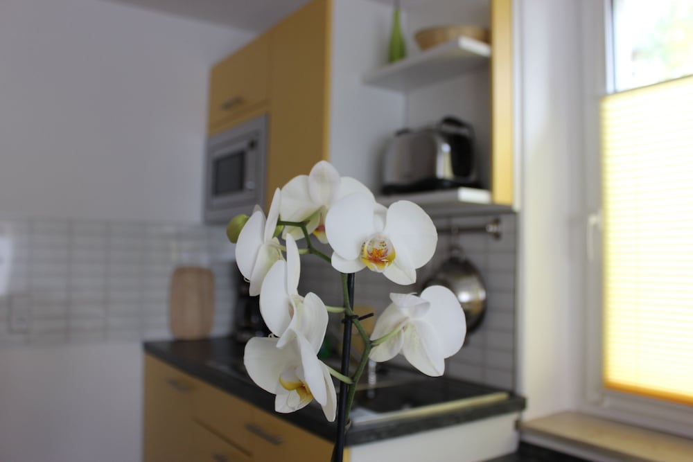 Deluxe Apartment, 1 Bedroom, Non Smoking, Kitchenette (Pillnitz) photo 1